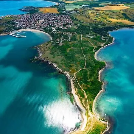 Coral Family Chernomorets