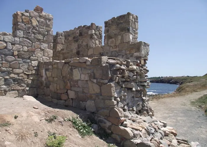 Coral Family Черноморец